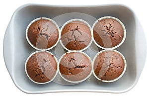 Homemade chocolate cupcakes in ceramic baking tray. Each muffin in a separate paper baking dish. Isolated on white