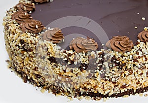 Homemade chocolate hazelnut cake