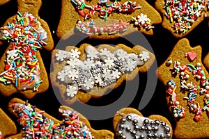 Homemade christmas cookies on a dark table