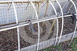 Homemade cold frame with PVC pipe, wire, and zip ties