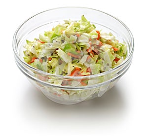 Homemade coleslaw salad in bowl