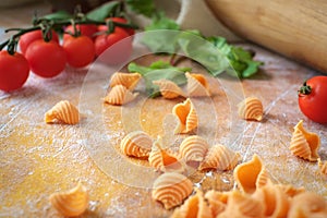 Homemade conchiglie raw pasta with tomatoes