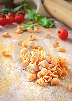 Homemade conchiglie raw pasta with tomatoes