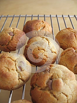 Homemade Cookies