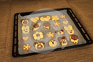 Homemade cookies in the shape of dog, heart, elephant, butterfly, snowflake, slug, turtle, heart, rabbit