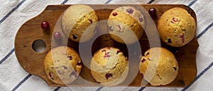 Homemade Cranberry Muffins with Orange Zest on a rustic wooden board on cloth, top view. Flat lay, overhead, from above