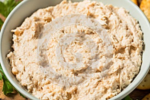 Homemade Creamy Crab Dip Appetizer