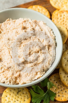 Homemade Creamy Crab Dip Appetizer