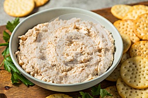 Homemade Creamy Crab Dip Appetizer