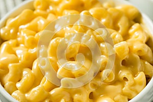 Homemade Creamy Macaroni and Cheese Pasta photo