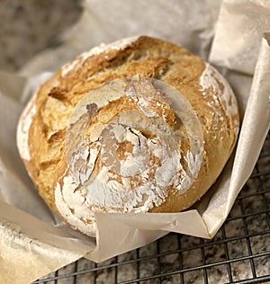 Homemade crusty cast iron dutch oven bread