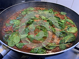 Homemade curry with spinach