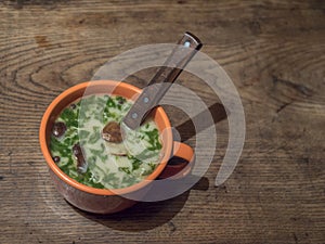 Homemade Czech traditional delicious soup Kulajda with mushroom, eggs and fresh dill in orange cup and spoon close-up on