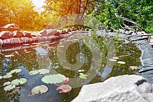 Homemade decorative pond for fish in the garden with ornamental