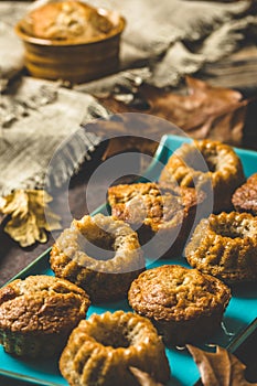 Homemade delicious mini bundt cakes, guglhupf, muffins on a blue plate on rustic wooden background