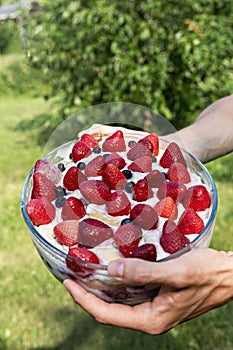 Homemade dessert with strawberries and blueberries and coconut cream in a glass dish in hands on background of green plants