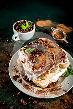 Homemade dessert tiramisu on plate