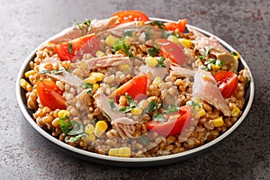 Homemade diet salad made from spelt, tuna, corn, tomatoes and herbs close-up in a plate. horizontal