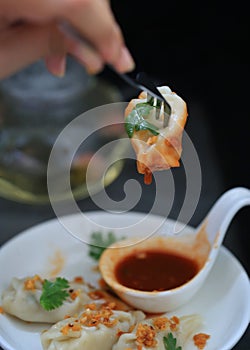 Homemade Dim sum top up with fried garlic and coriander on cement table background