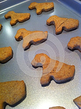 Homemade doggy treats photo