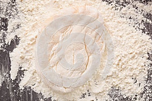 Homemade dough on flour background