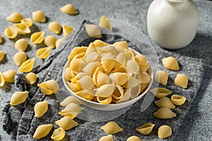 Homemade Dry Raw Conchiglie Pasta