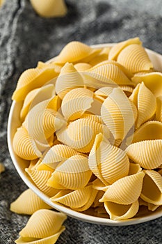 Homemade Dry Raw Conchiglie Pasta