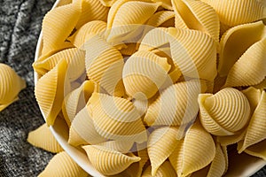 Homemade Dry Raw Conchiglie Pasta