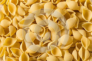 Homemade Dry Raw Conchiglie Pasta