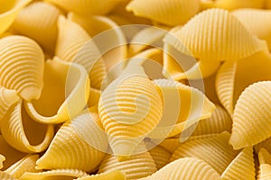 Homemade Dry Raw Conchiglie Pasta