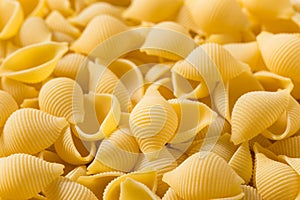 Homemade Dry Raw Conchiglie Pasta