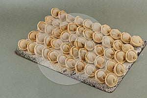 Homemade dumplings lined up on a floured surface ready to cook photo