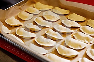 Homemade dumplings ready for cooking.