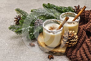 Homemade eggnog with cinnamon in glass. Typical Christmas dessert. Evergreen fir brunch, cones, cozy plaid, artificial snow. Stone