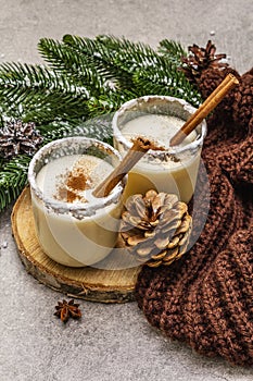 Homemade eggnog with cinnamon in glass. Typical Christmas dessert. Evergreen fir brunch, cones, cozy plaid, artificial snow. Stone