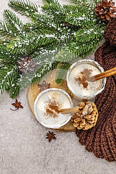 Homemade eggnog with cinnamon in glass. Typical Christmas dessert. Evergreen fir brunch, cones, cozy plaid, artificial snow. Stone