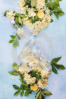 Homemade elderflower syrup with fresh elderflowers