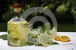 Homemade elderflower syrup in a glass bottle, elderflower umbel