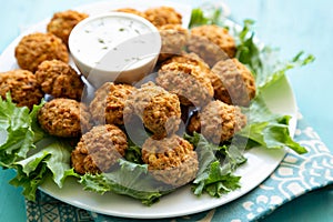 Homemade falafel with yogurt sauce and lettucce