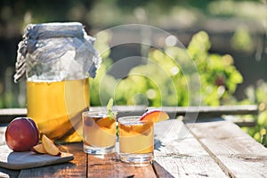 Homemade fermented raw kombucha tea with different flavorings. Healthy natural probiotic flavored drink. Superfood