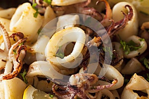 Homemade Fresh Grilled Calamari