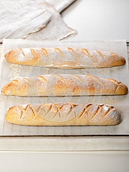 Homemade fresh mouth-watering sourdough baguettes. Homebaked bread. Vertical shot