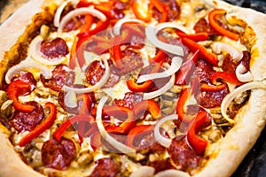 Homemade fresh and tasty pizza