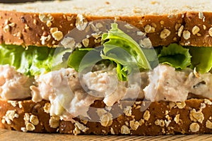 Homemade Fresh Tuna Salad Sandwich