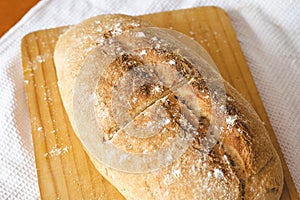 Homemade freshly baked bread. Chilean bread photo