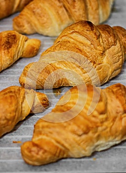 Homemade freshly baked delicious croissants lie on a baking sheet