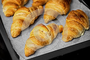 Homemade freshly baked delicious croissants lie on a baking sheet