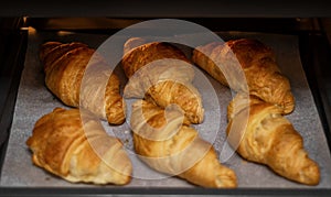 Homemade freshly baked delicious croissants lie on a baking sheet