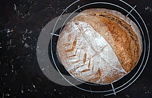 Homemade freshly baked rye bread, whole loaf on a cooling rack on dark background