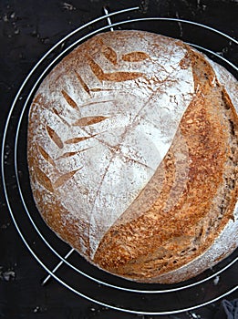 Homemade freshly baked rye bread, whole loaf on a cooling rack on dark background